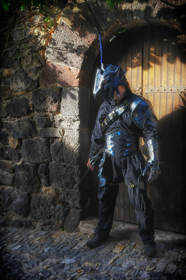 Armure Halstatt – Image 7
